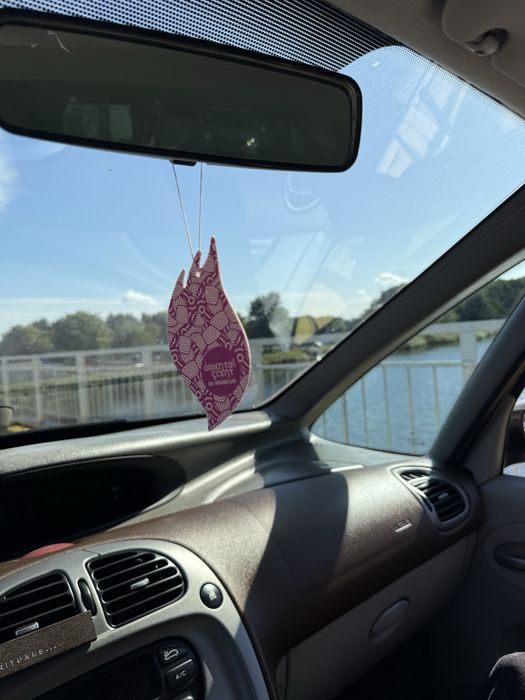 Citroen Xara Picasso 1.6 16v LPG