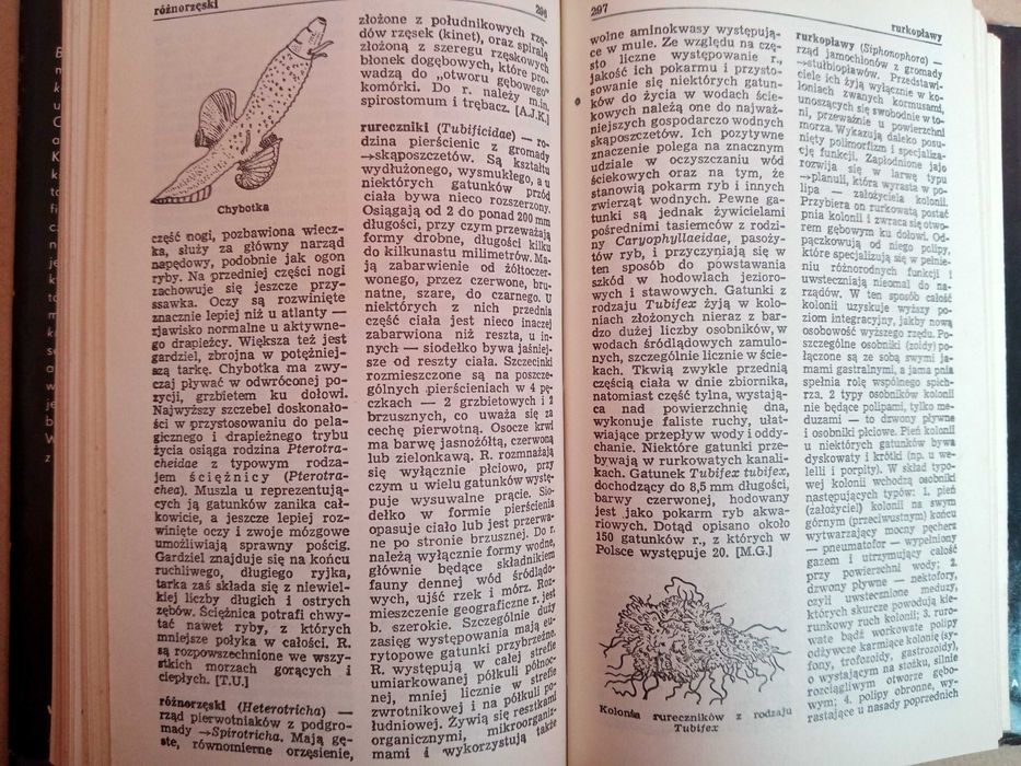Mały słownik zoologiczny. Bezkręgowce