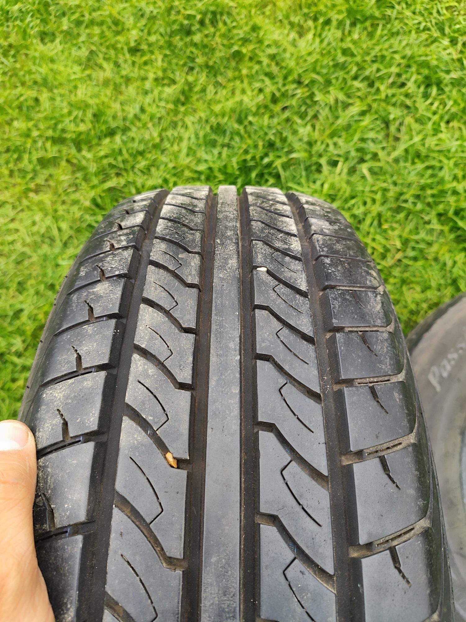Nankang Passion cw20  205/65/15C