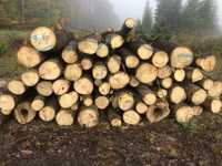Drewno lisciaste suche osika wierzba 180
