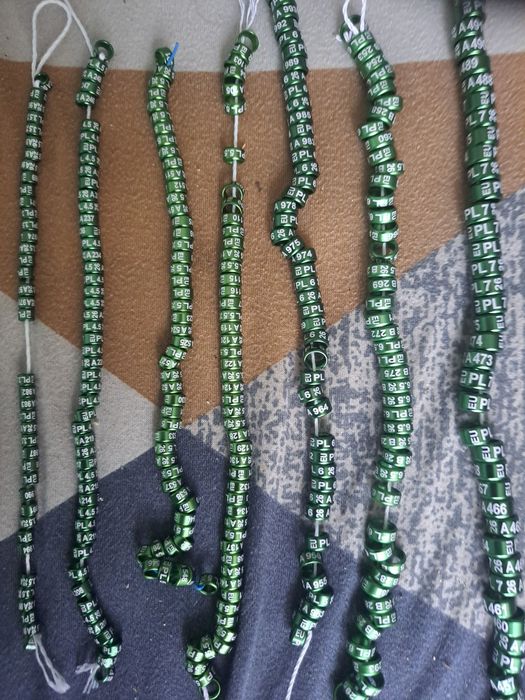 Obraczki stałe metal 3 mm golabki egzotyka 10 sztuk