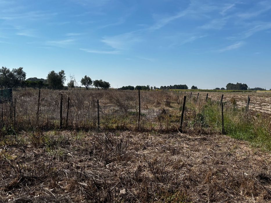 Terreno com 2 casas Habitacionais