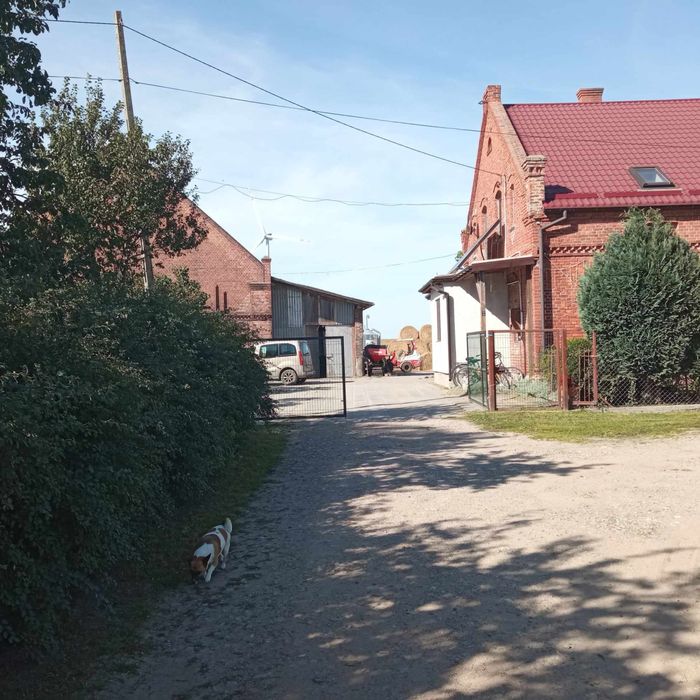 Sprzedam dom z ogrodem