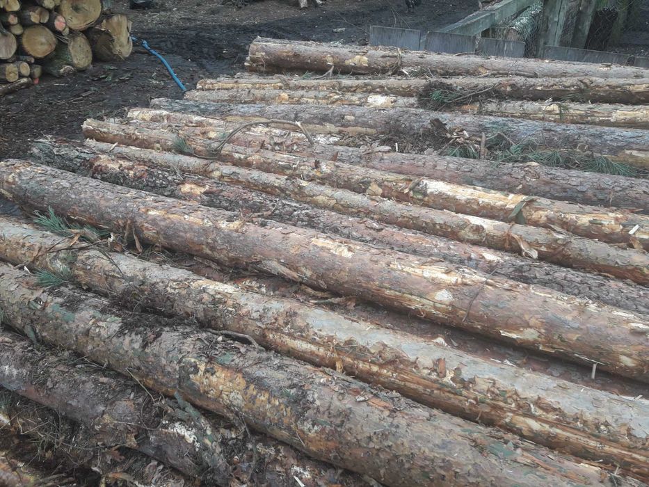 Stemple budowlane slupki ogrodzeniowe