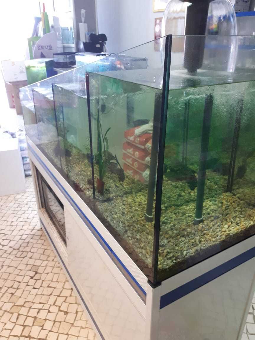 Aquário em cascata da "Aquapime" ideal para pet shops. Oportunidade !