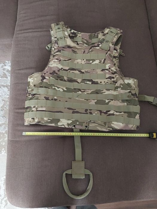 Плитоноска мультікам