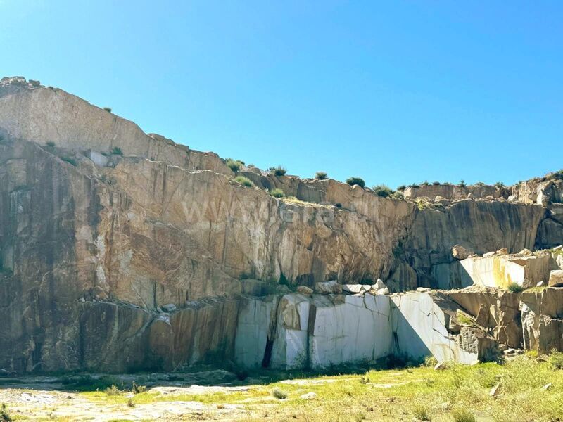 Terreno / Cinfães, Moimenta