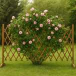 Pergola Drewniana Rozciągana Płotek na Rośliny Krata 180cm + Stojak