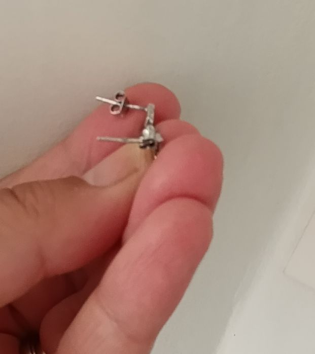 Brincos folha em prata