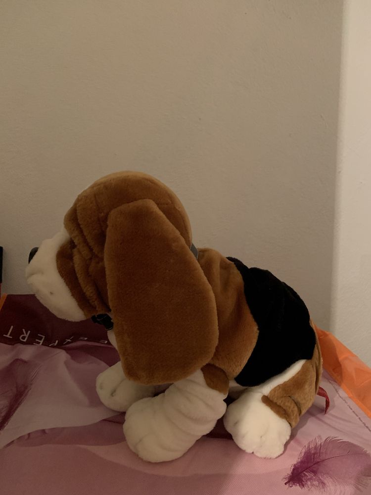 S bernardo peluche  como novo