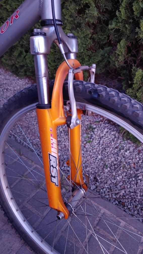 Rower Author Enduro Basic DSX