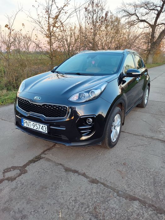 Kia Sportage 1.6 Business Salon Polska