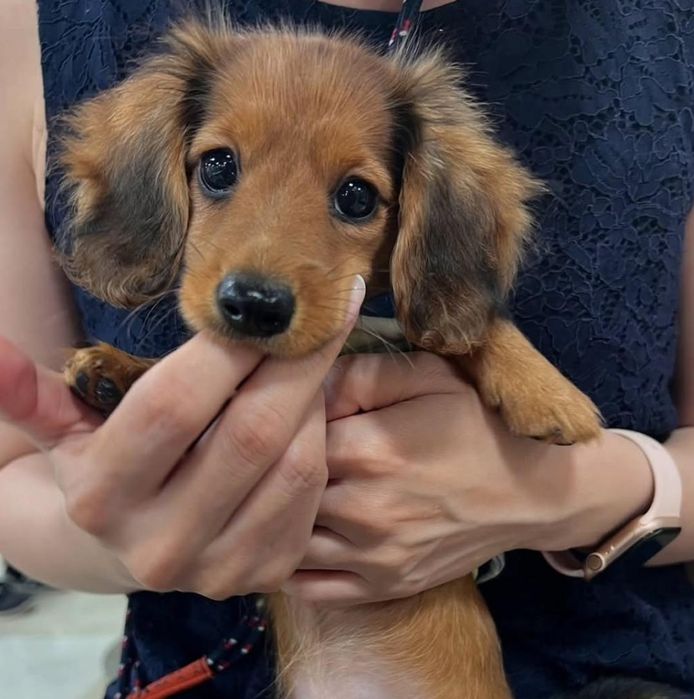 Дитина з хорошим люблячим характером.