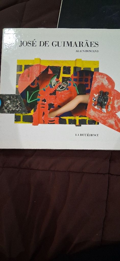 Livro jose de Guimarães