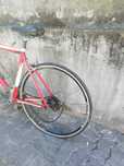 Bicicletas bom negócio