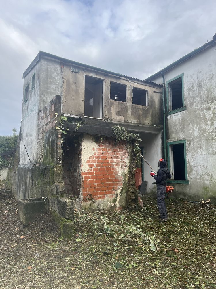 Limpeza de terrenos