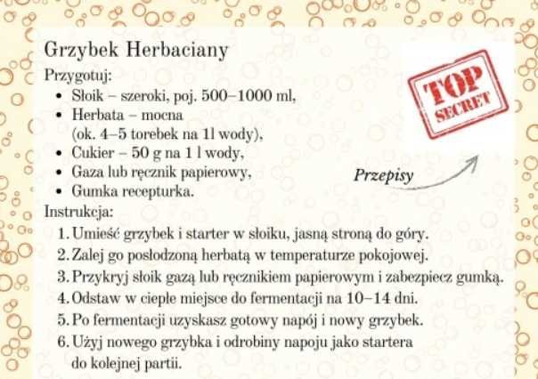 3  x Kombucha – grzyb herbaciany 10 cm SCOBY + starter + instrukcja