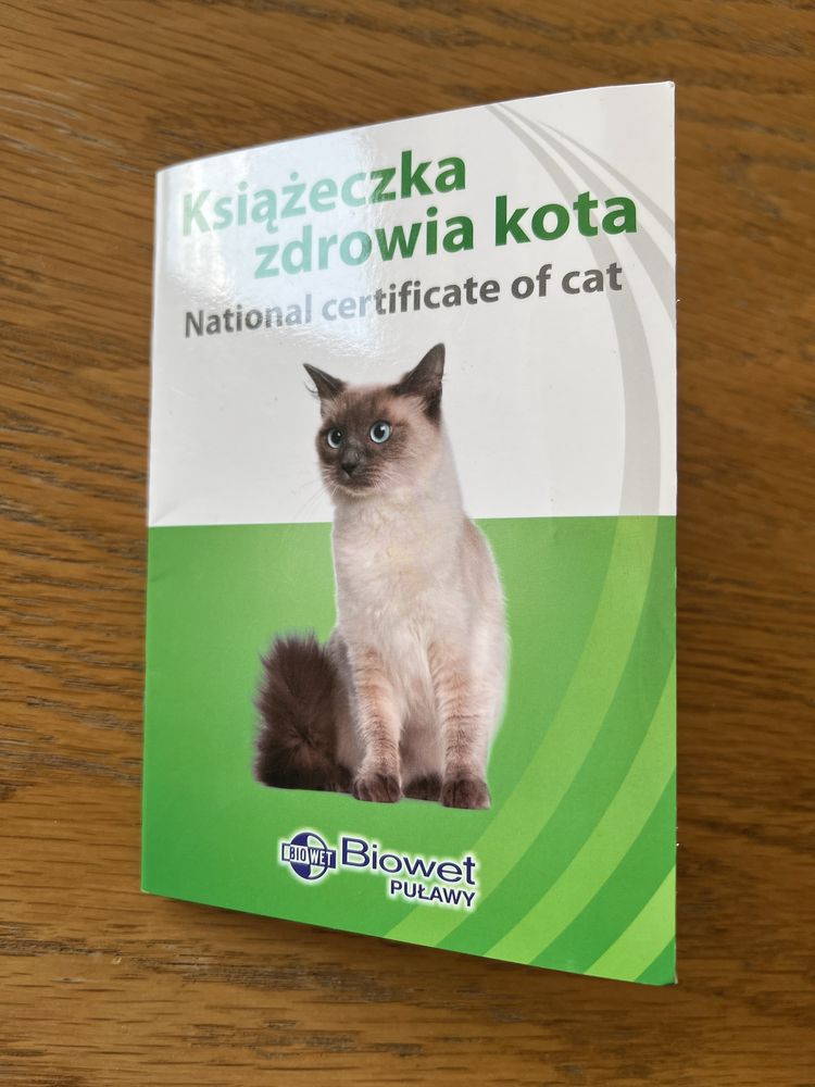 Oddam w dobre rece sliczna dwumiesieczna kotke