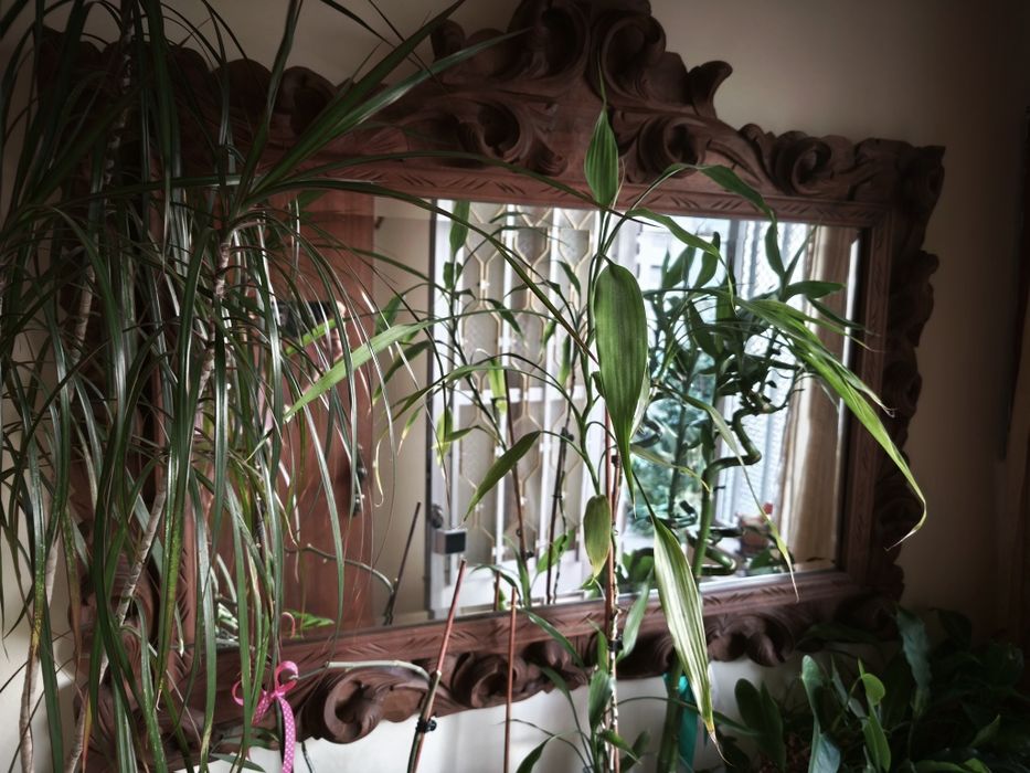 Móvel de entrada mais espelho, antigo em madeira