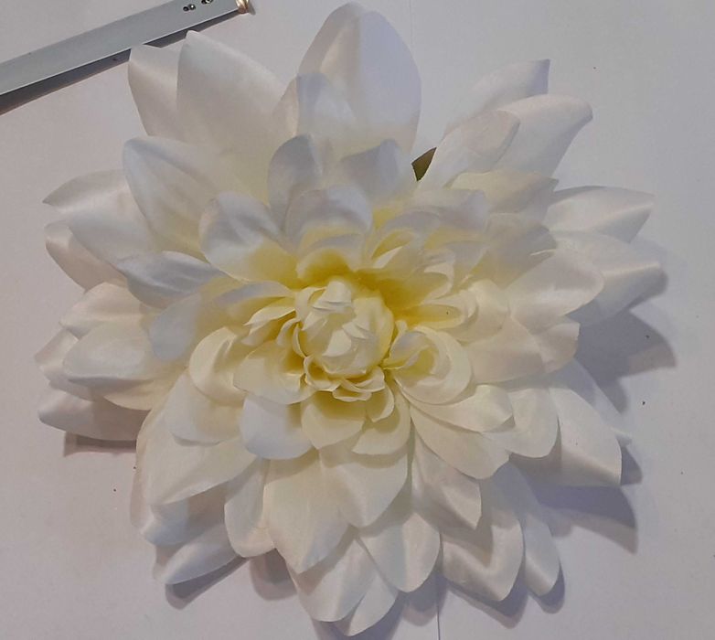 Dalia duża główka wyrobowa