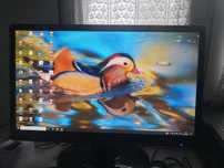 Monitor 24 cale LED firmy Terra