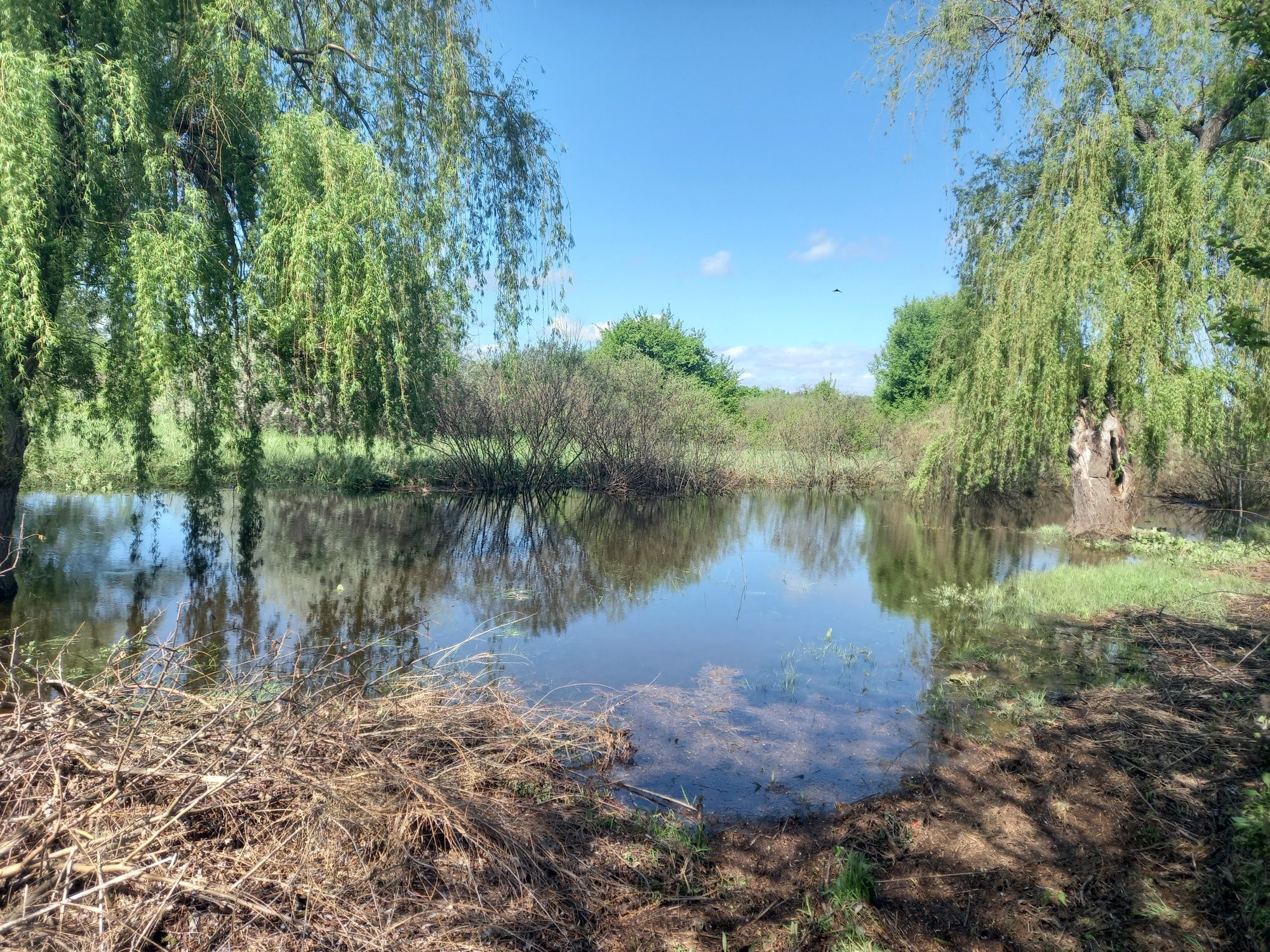 Продам уютную 2-х этажную дачу в Куриловке. Возле воды.