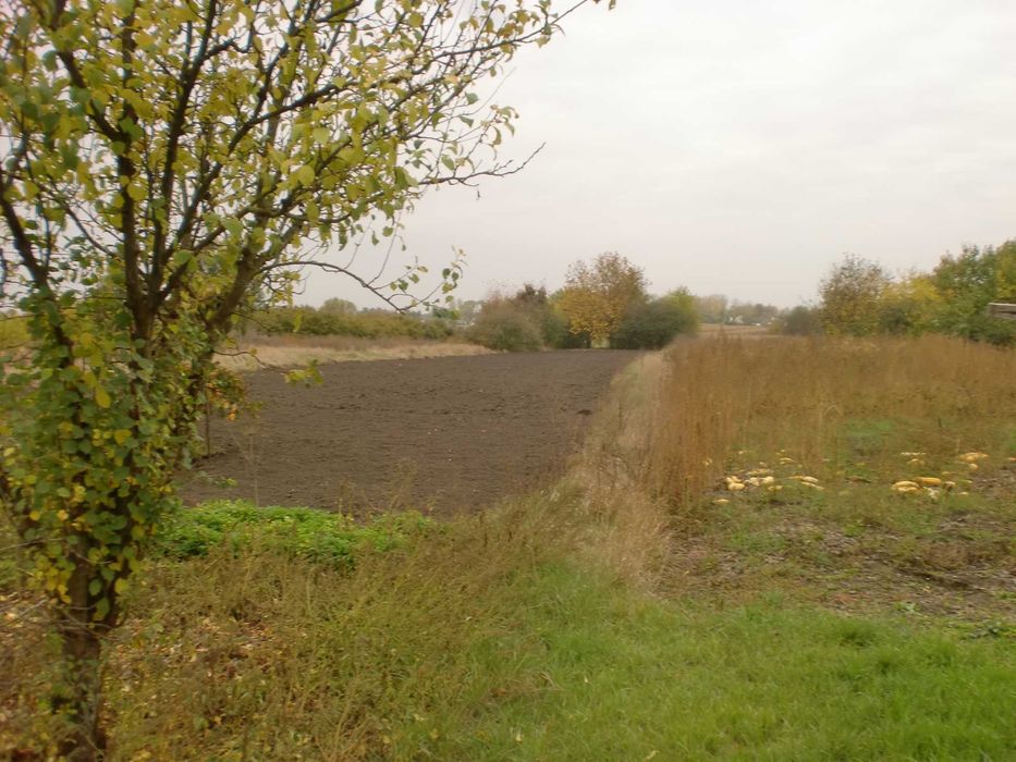 Продаж будинку с.Хрестителево,Чорнобаївський р-н