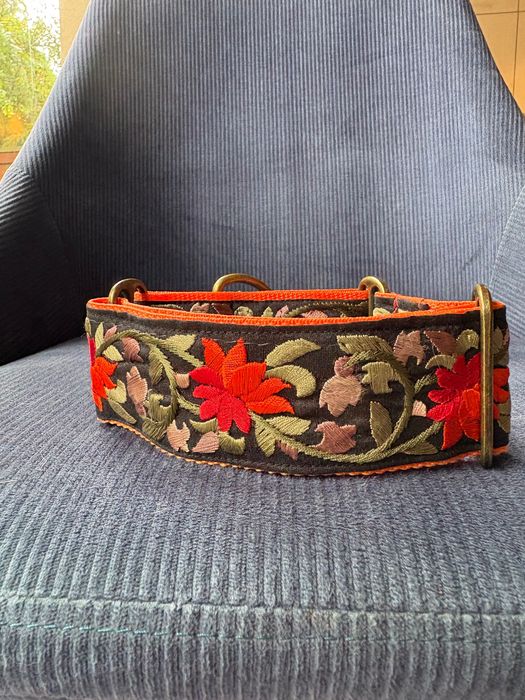 Obroża dla charta Saluki/whippet/chart Polski/ galgo