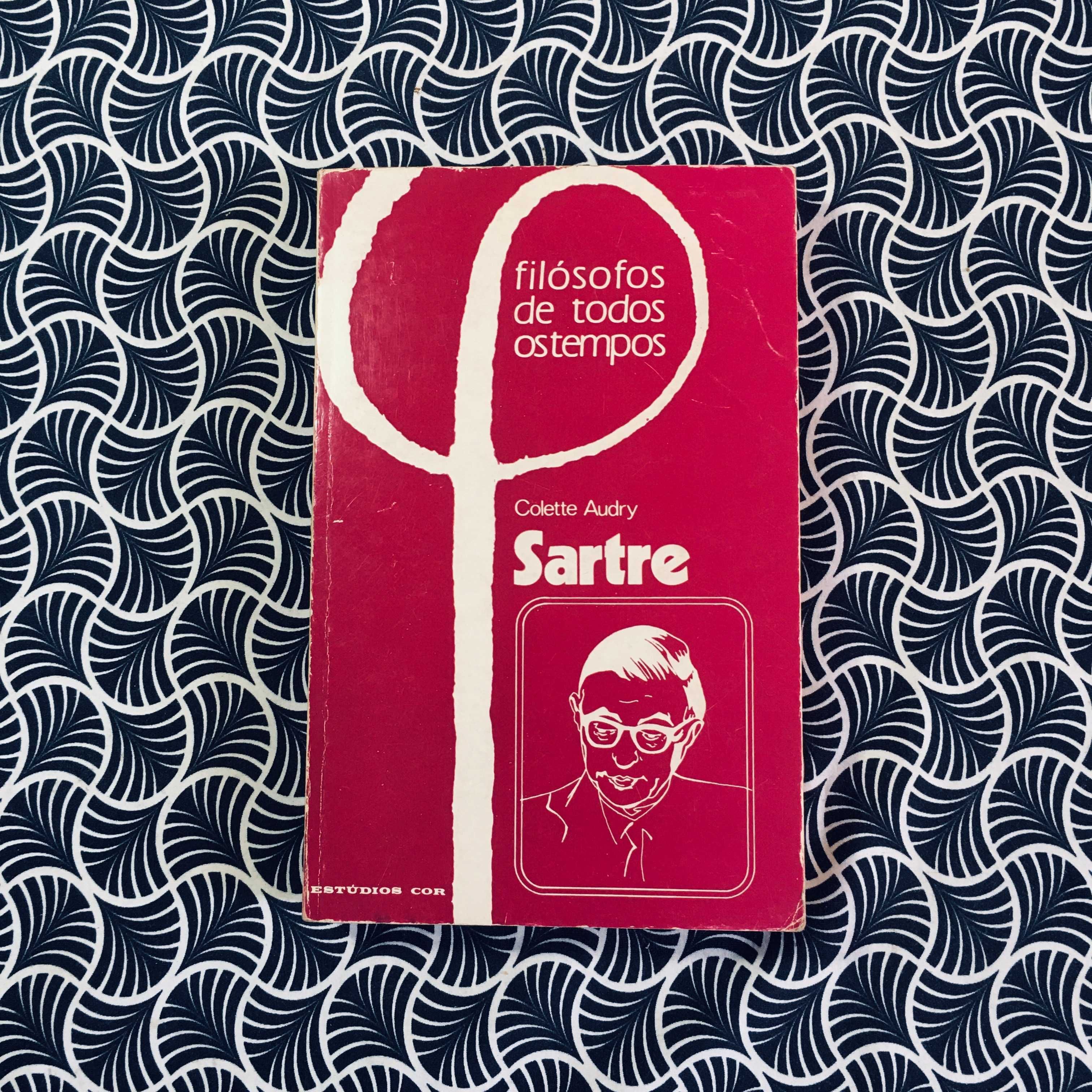 Sartre e a Realidade Humana - Colette Audry