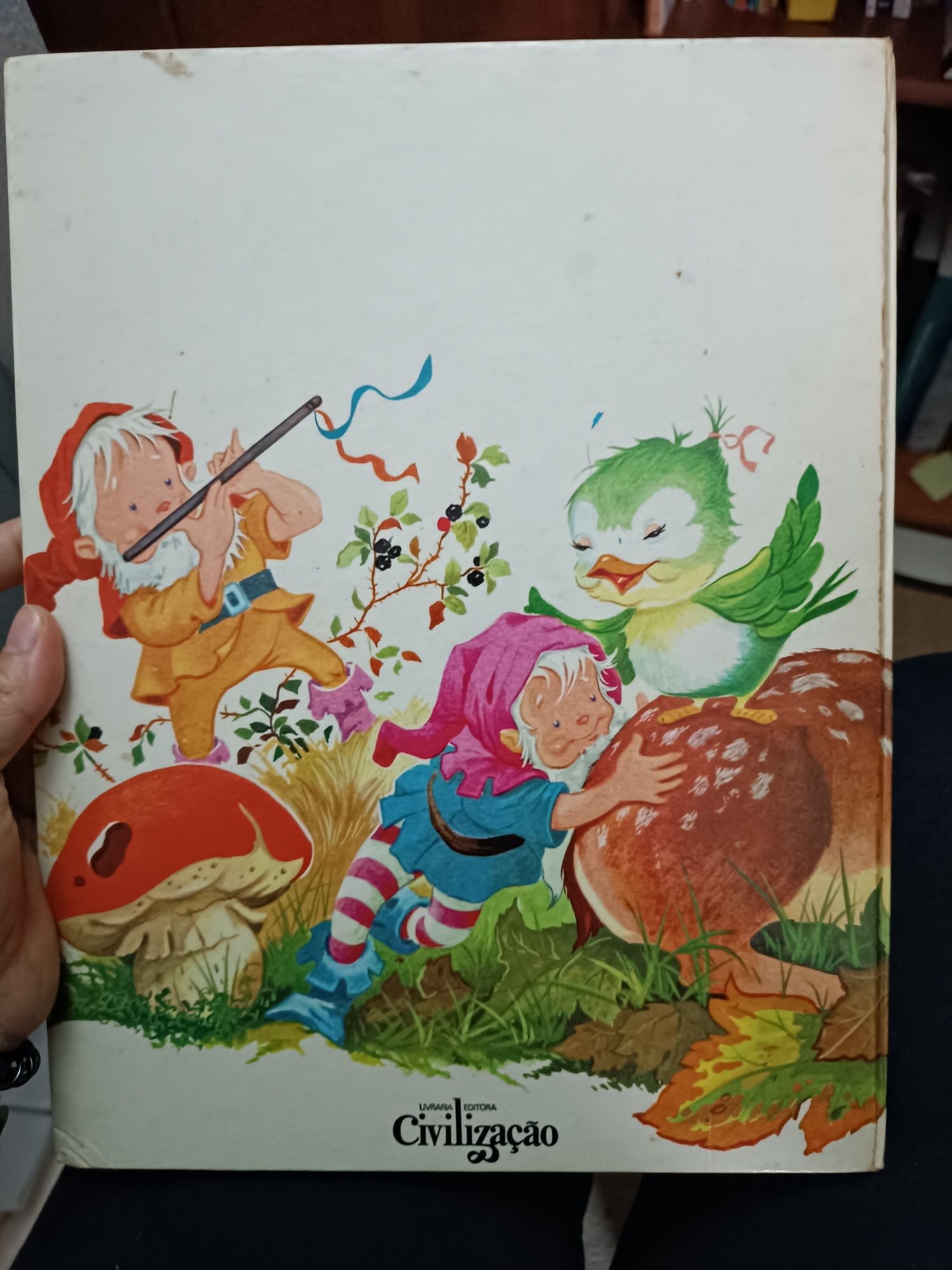 Livro infantil Festa nos bosques