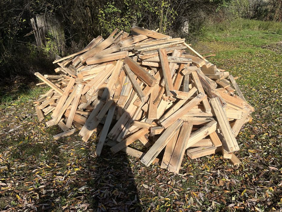 Drewno opałowe drzewo