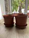 Conjunto de dois vasos de plástico com pratos