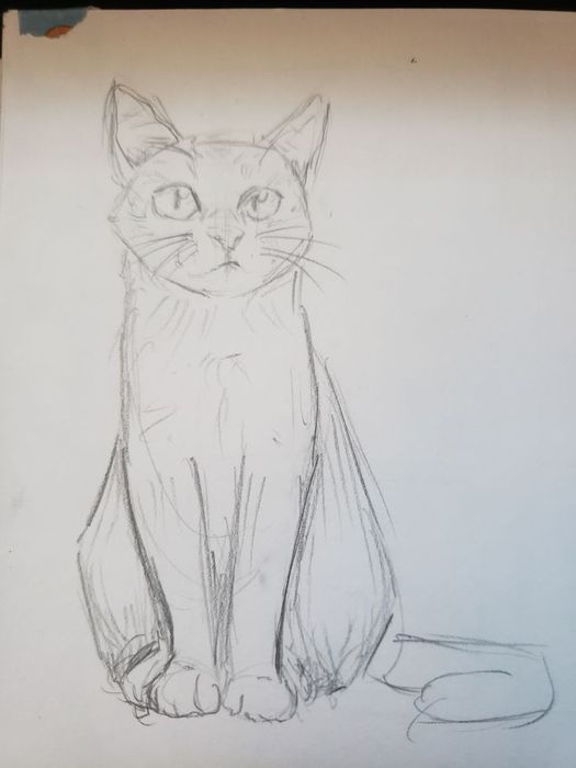 Рисую на заказ ваших питемцев