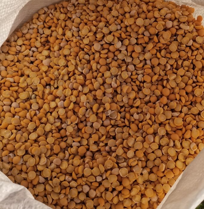 Groch połówki opakowanie 20kg wysyłka natychmiast Inpost