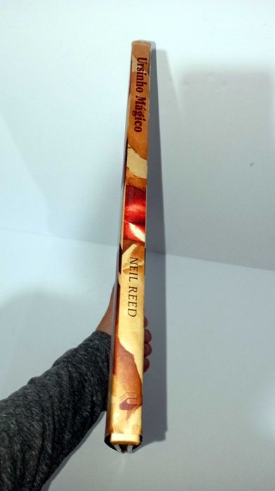 Ursinho Mágico - livro infantil