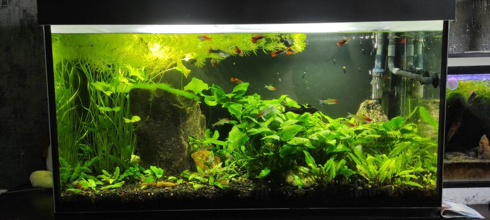 Аквариум, 120 литров (комплект)