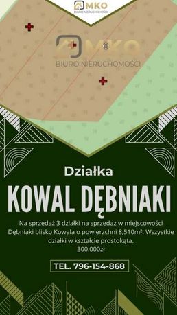 Trzy działki na sprzedaż  Dębniaki blisko Kowala, powiat Włocławski: