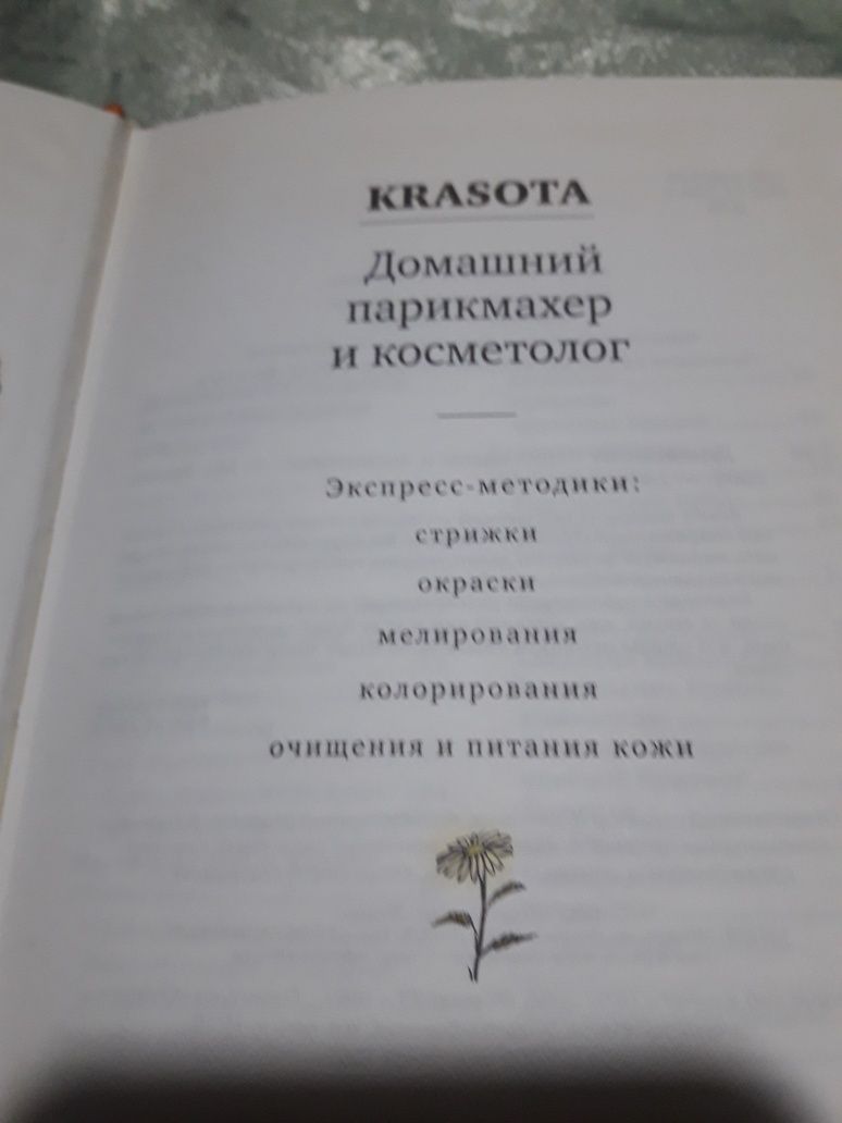 Домашний парикмахер и косметолог. Платонов- Живя главной жизнью.