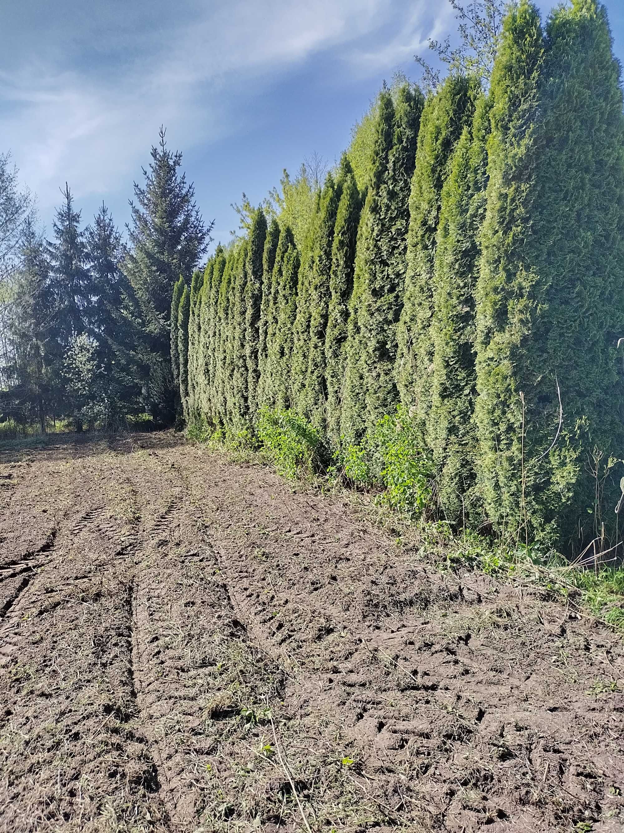 Działka budowlana na sprzedaż Rydzyny , Pabianice