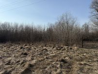 Ділянка землі біля річки Десна, село Кладьківка