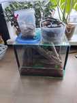 Terrarium 30x25x25 z wyposażeniem