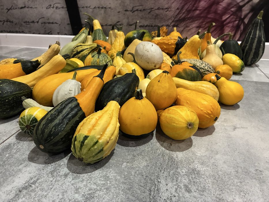 Dynia ozdobna mix 2kg