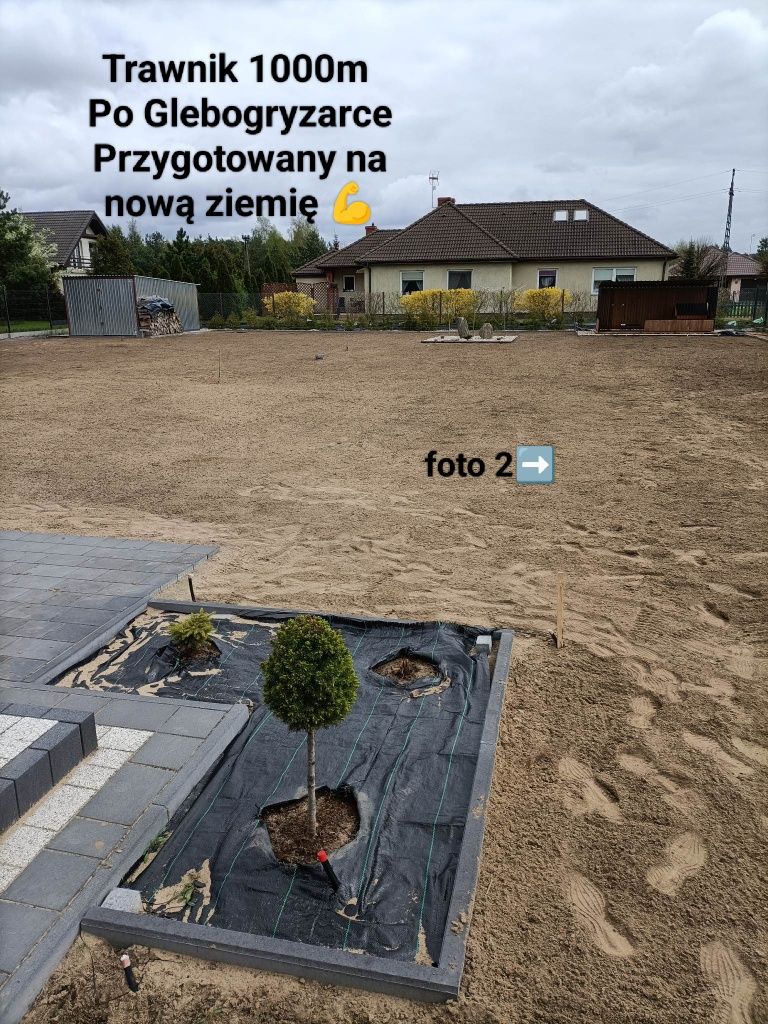 Usługi ogrodnicze koszenie trawników,wertykulacja itd w Grudziądzu i o