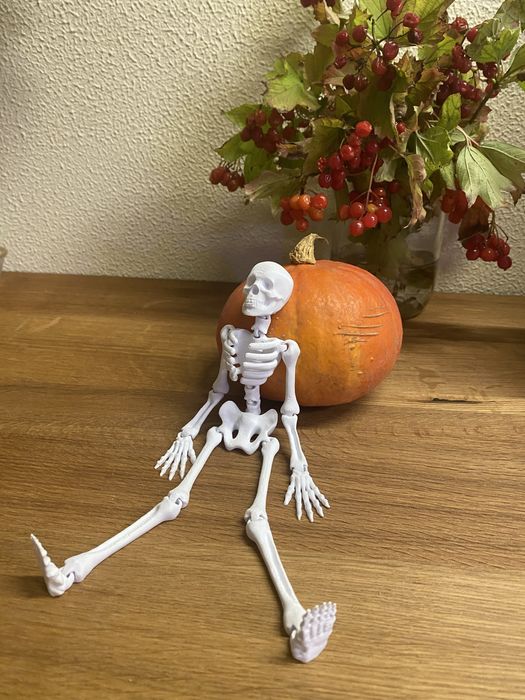 Рухомий скелет 23 см