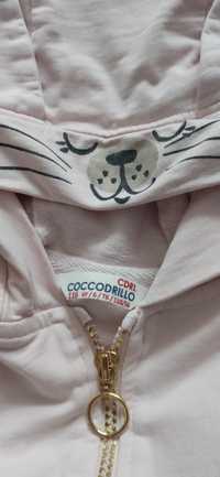 Bluza Cocodrillo 116