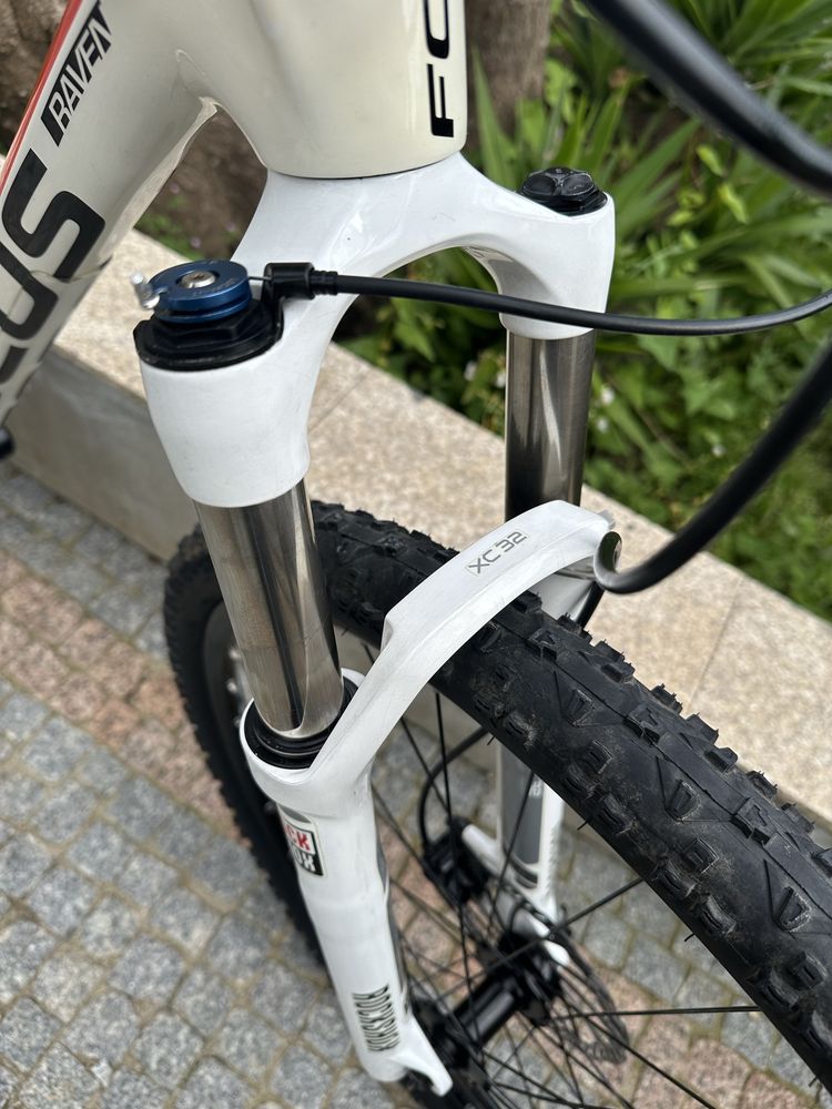 Focus 29 carbono