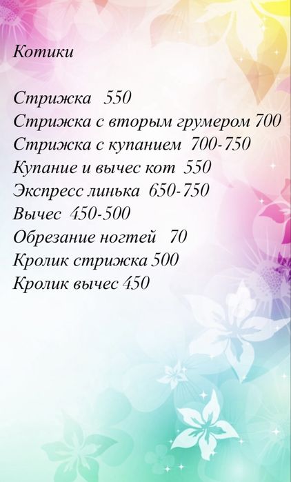 Груминг котиков