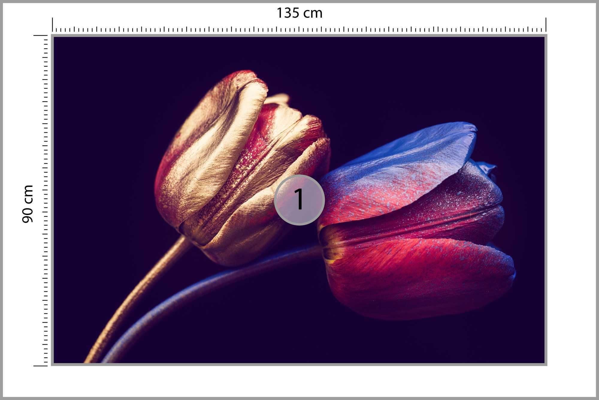 Fototapeta Tulipany Ze Złotymi Elementami 135x90cm