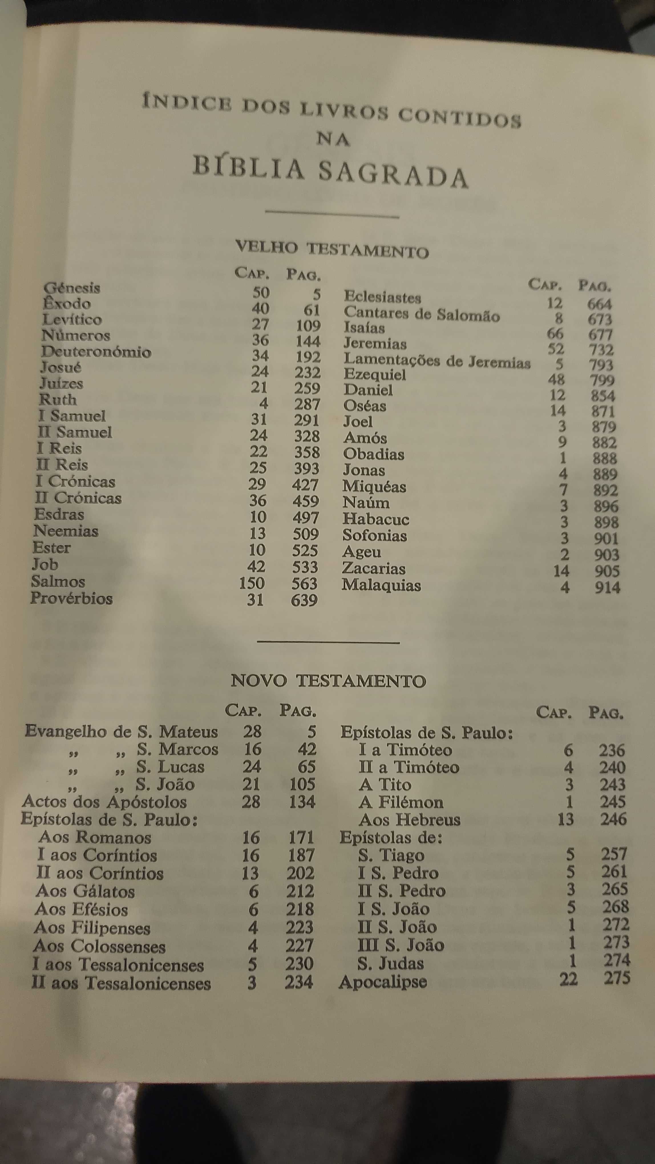 Bíblia Sagrada Velho e novo Testamento