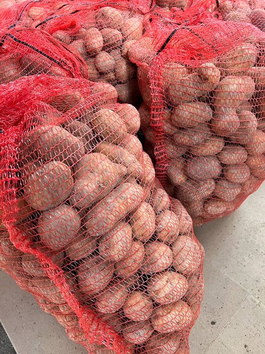 Ziemniaki nadwyżka z własnego zbioru ekologiczne